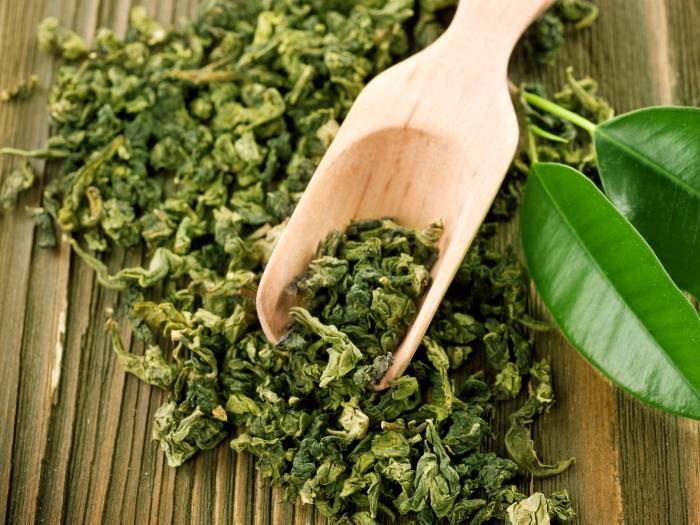 Is Green Tea Leaf Extract Safe for Dogs Is Green Tea Leaf Extract Safe for Dogs