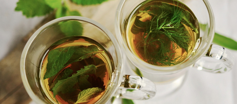 can green tea extract cause liver failure_1 can green tea extract cause liver failure_1