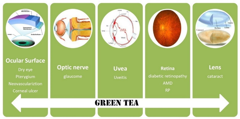 can green tea extract and saffron extract be taken together_1 can green tea extract and saffron extract be taken together_1