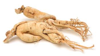 Ginseng Root Extract Manufacturer Ginseng Root Extract Manufacturer