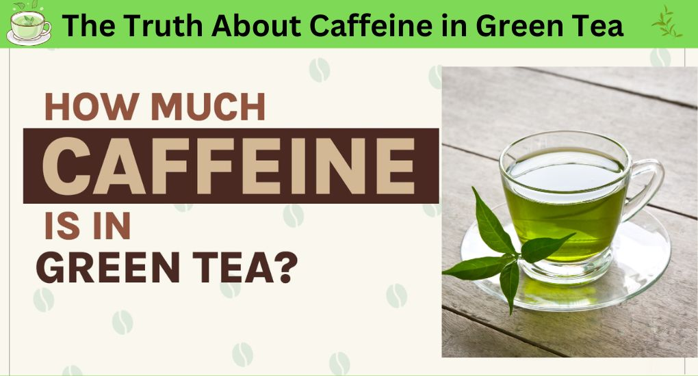 Green Tea Extract1282