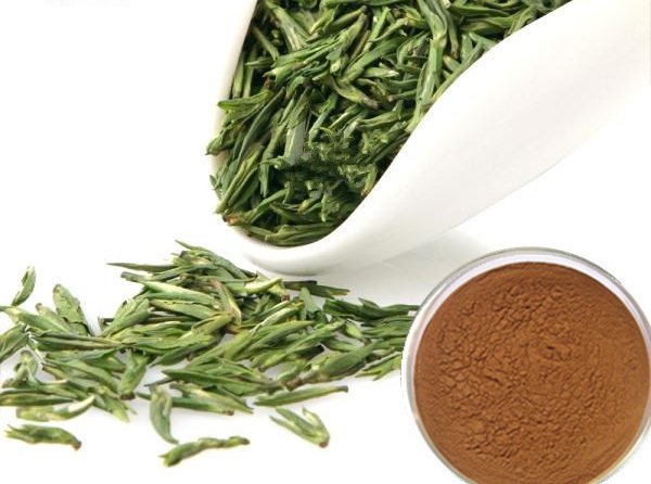 Green Tea Extract1022 Green Tea Extract1022