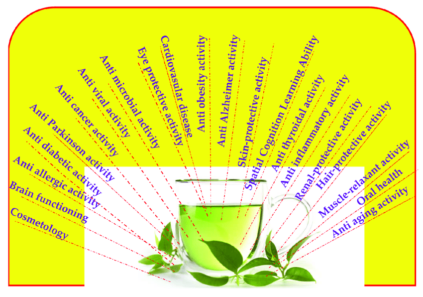 Green Tea Extract100