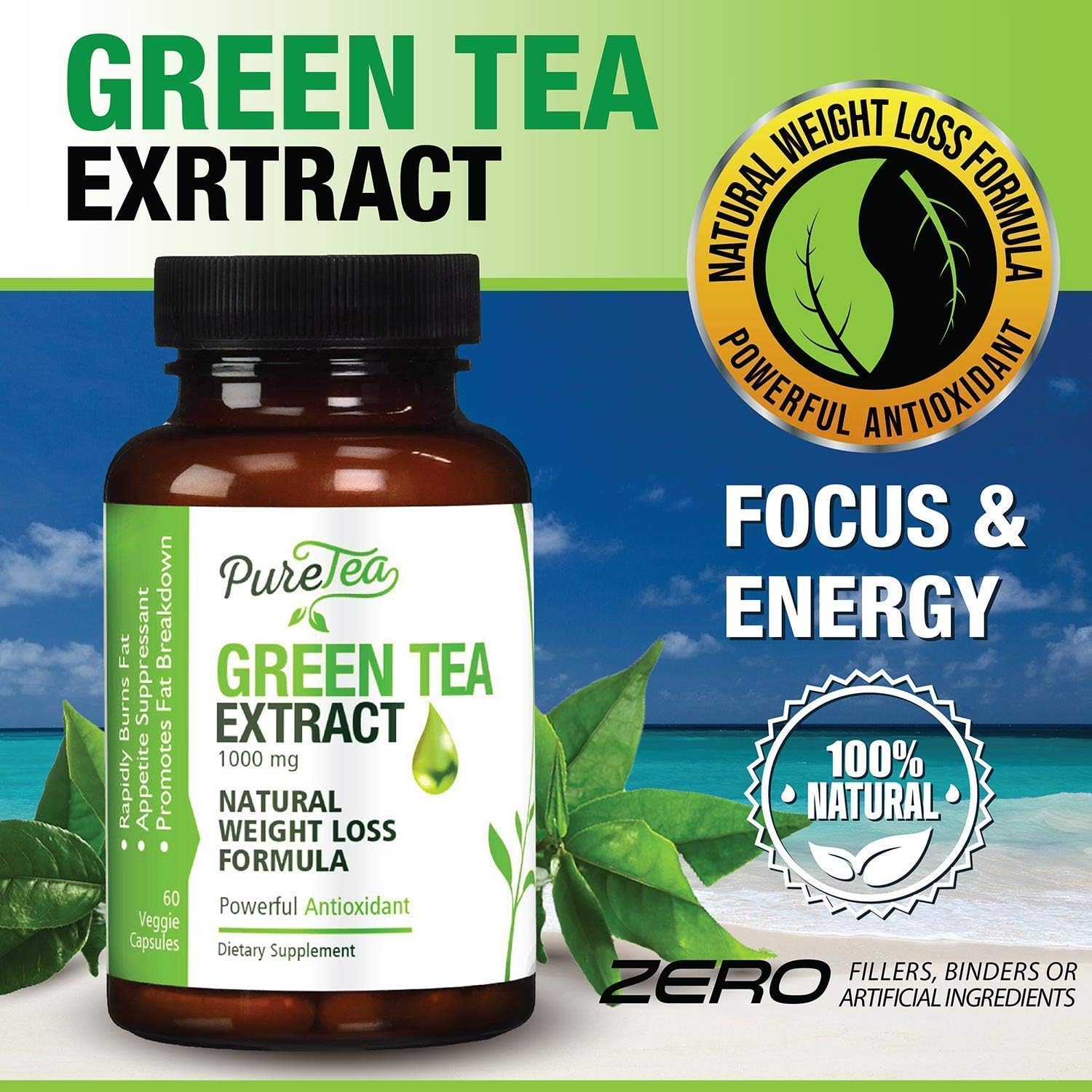 Green Tea Extract379 Green Tea Extract379