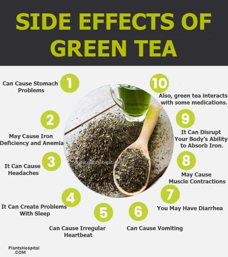 Green Tea Extract1 Green Tea Extract1