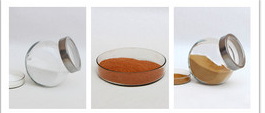 Green Tea Extract146
