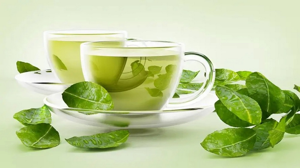 Green Tea Extract 封面 Green Tea Extract 封面