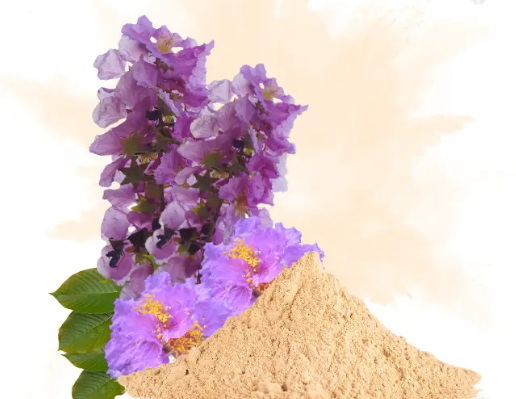 What Are The Benefits Of Personalized Banaba Leaf Extract What Are The Benefits Of Personalized Banaba Leaf Extract