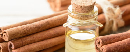 Is Cinnamon Bark Extract A Natural Supplement for Bodybuilding Recovery Is Cinnamon Bark Extract A Natural Supplement for Bodybuilding Recovery