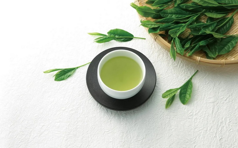 What Is The Difference between Matcha And Green Tea Extract What Is The Difference between Matcha And Green Tea Extract