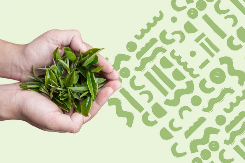 How Does Green Tea L-Theanine 60% Support Immune Function