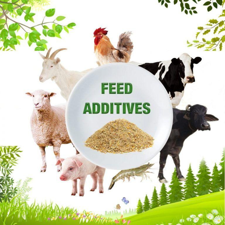 Top 10 Natural Feed Additives Manufacturer Top 10 Natural Feed Additives Manufacturer