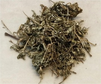 Vine Tea Extract Vine Tea Extract