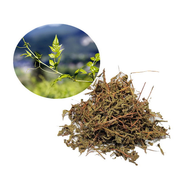 Top Vine Tea Extract Manufacturers and Suppliers in Italy
