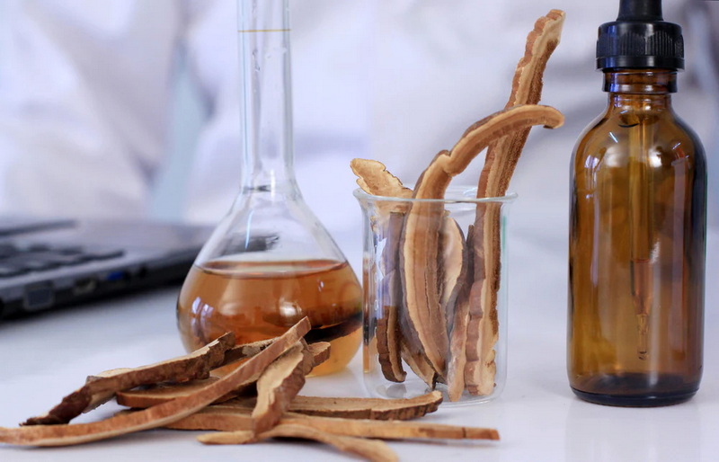 Top Mushroom Extracts Manufacturers and Suppliers in Vancouver