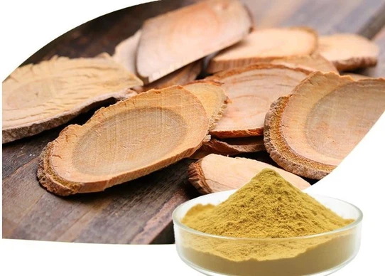 Tongkat Ali Extract Supplier Selection: Key Factors for Nutraceutical Manufacturers