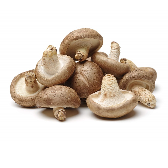 Shiitake Powder Extract image