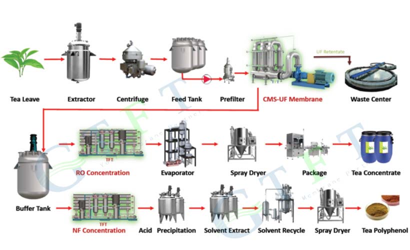 Tea-Extraction-3