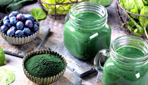 Green Tea Extract_4