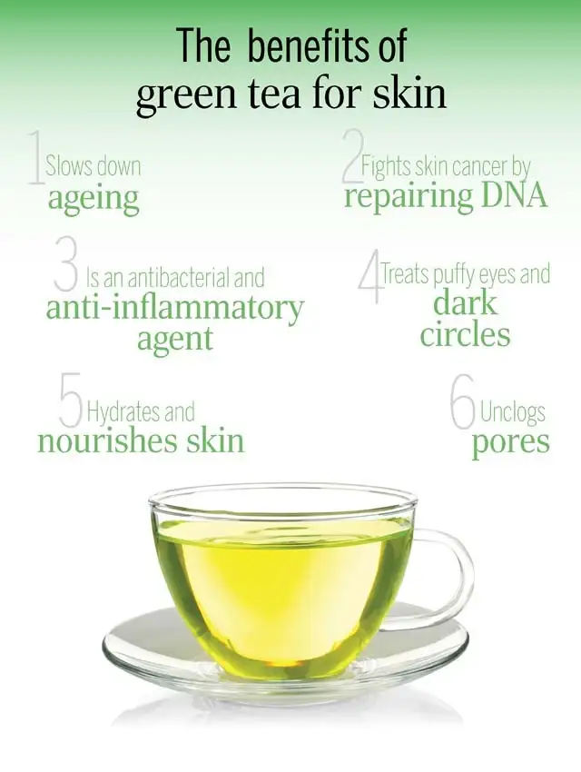 Green Tea Extract1491