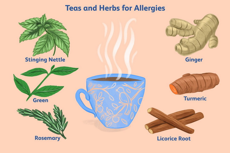 Can You Be Allergic To Green Tea Extract?