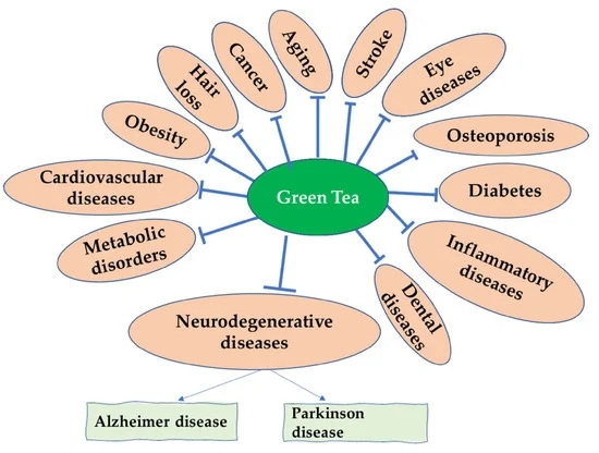 green tea extract_2_1 green tea extract_2_1