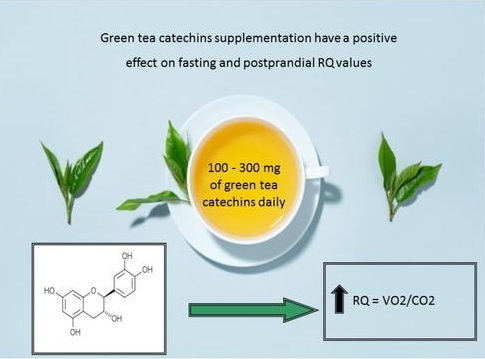 Does Decaffeinated Green Tea Extract still Provide Energy-_2 Does Decaffeinated Green Tea Extract still Provide Energy-_2