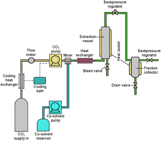 How To Extract L Theanine From Green Tea_1