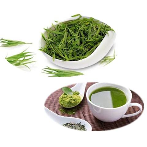 Green Tea Extract1371 Green Tea Extract1371