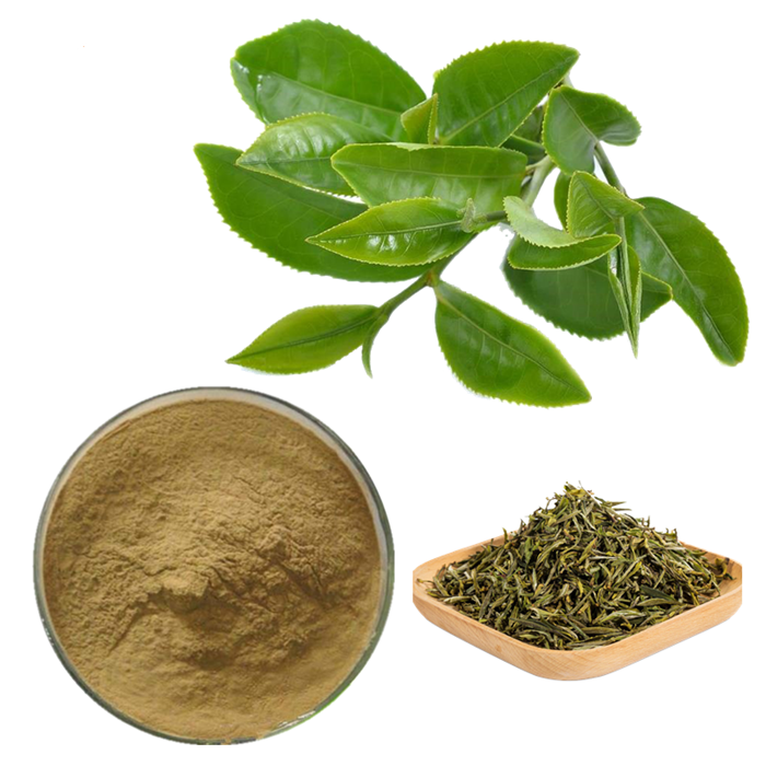Green Tea Extract185 Green Tea Extract185