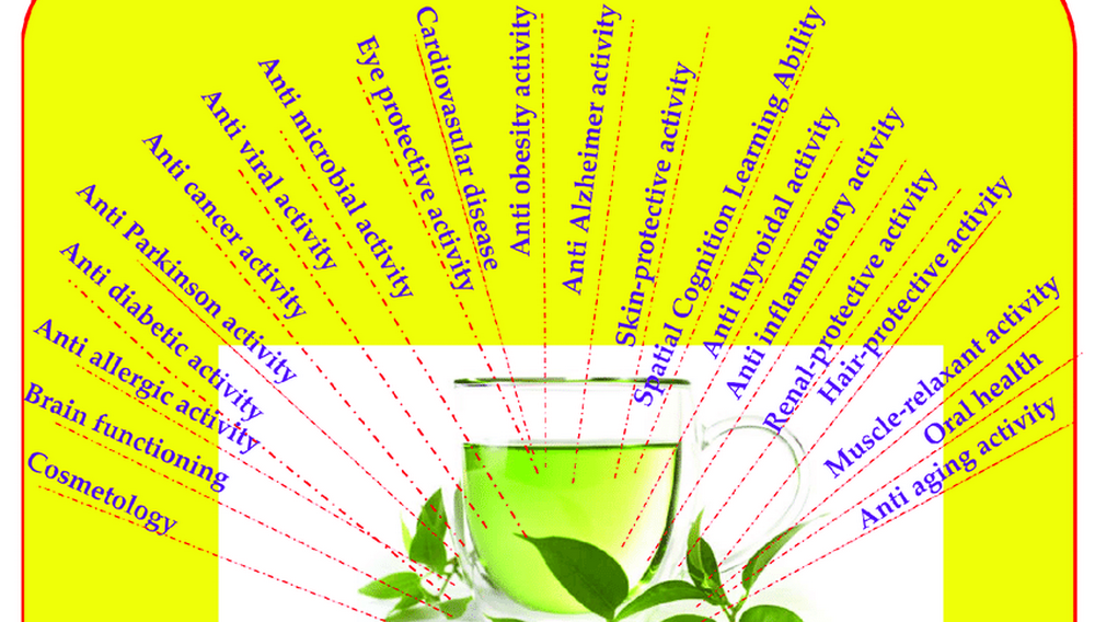 How Long Does Green Tea Extract Take To Work?