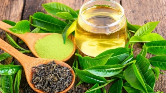Green Tea Extract107 Green Tea Extract107