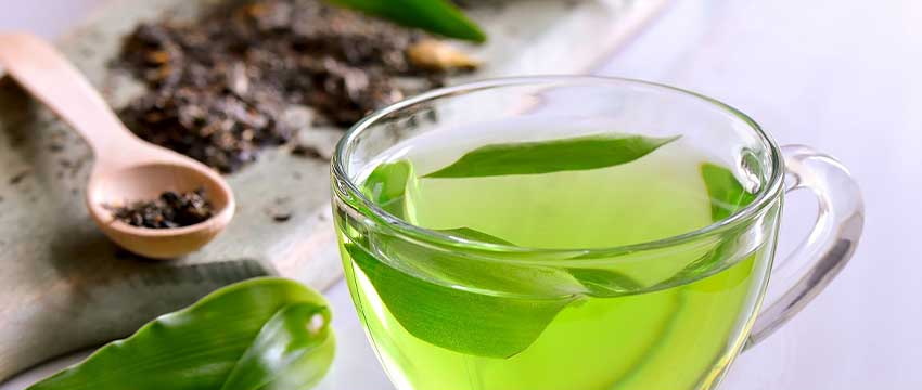 Green Tea Extract79 Green Tea Extract79