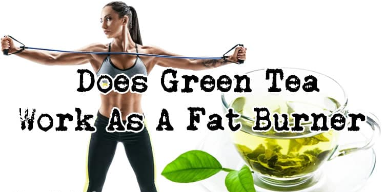 Green Tea Extract81 Green Tea Extract81