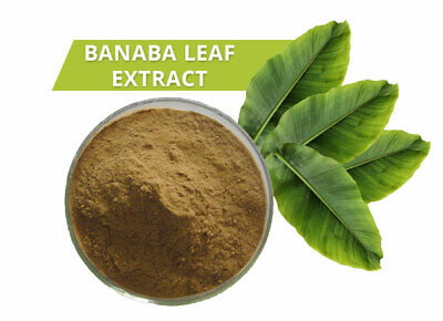 What Are the Health Benefits of Corosolic Acid Found in Banaba Leaf Extract What Are the Health Benefits of Corosolic Acid Found in Banaba Leaf Extract