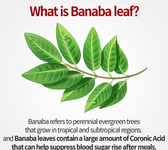 What Are The Market Opportunities for Banaba Leaf Extract in Cosmetics What Are The Market Opportunities for Banaba Leaf Extract in Cosmetics