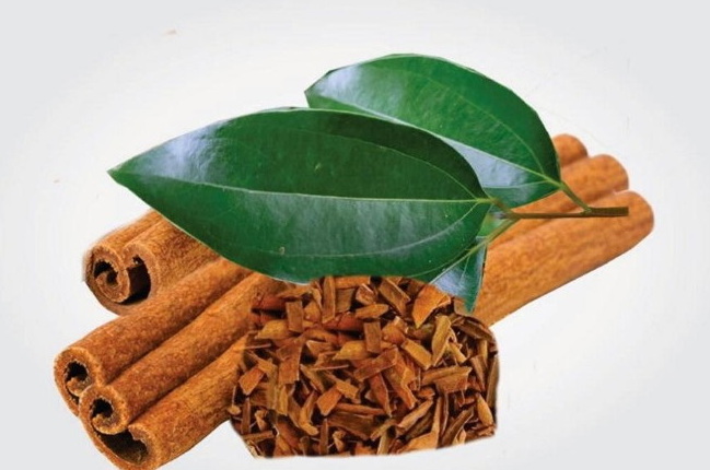 How Does Cinnamon Bark Extract Stack Up Against Other Botanical Extracts How Does Cinnamon Bark Extract Stack Up Against Other Botanical Extracts
