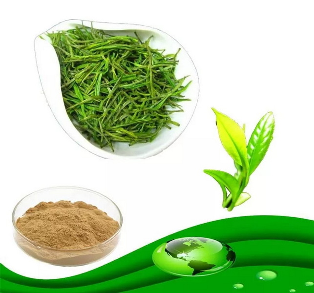 What The Lds Church Green Tea Extract (2) What The Lds Church Green Tea Extract (2)