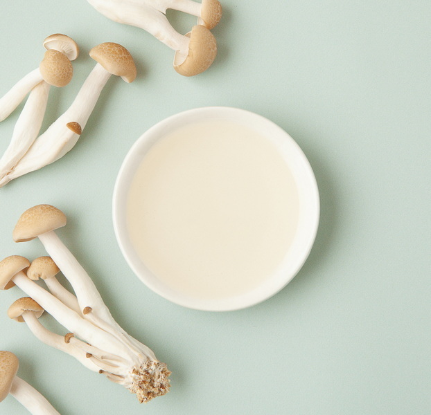Top Mushroom Extracts Manufacturers in Russia