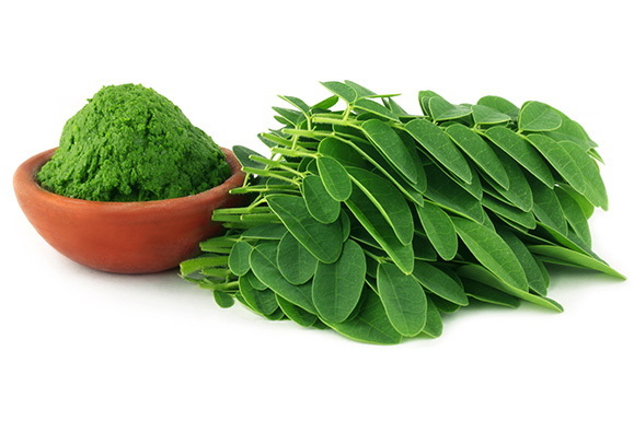 Top Organic Extracts Manufacturers and Suppliers in India