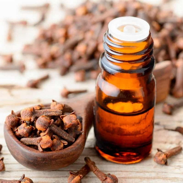 Top Supercritical CO2 Extracts Manufacturers in France