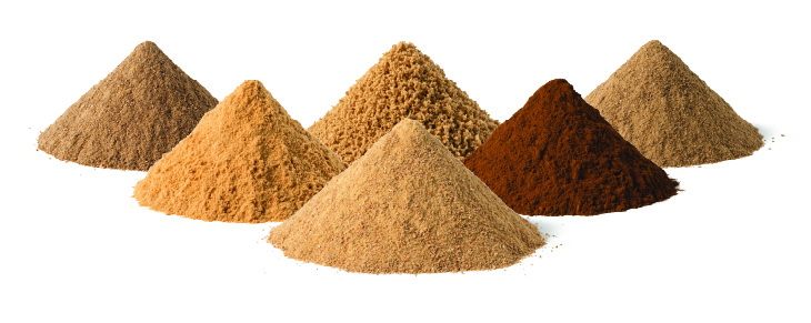 Top Mushroom Extracts Manufacturers and Suppliers in Halifax