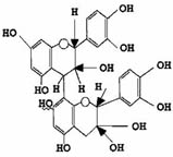 Molecular Structure Molecular Structure