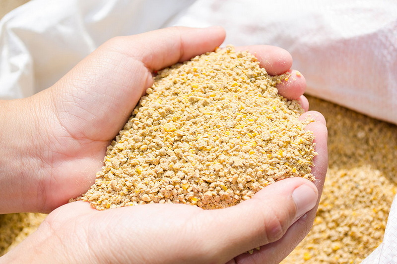 Top Natural Feed Additives Manufacturers In Germany