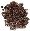 Schisandra Powder Extract1 Schisandra Powder Extract1