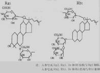 Ginseng Root Extract1 Ginseng Root Extract1