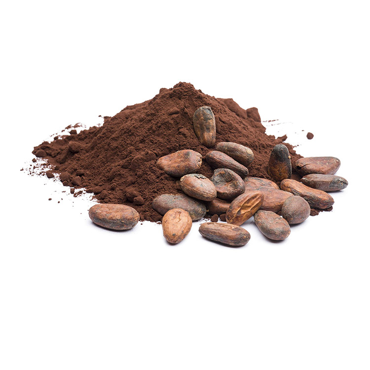 Griffonia Seed Extract image