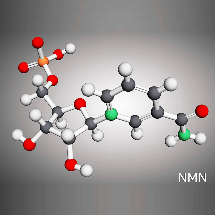 NMN Powder image