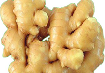 Ginger Powder Extract Ginger Powder Extract