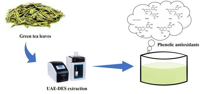 Take Green Tea Extract with Caffeine_2 Take Green Tea Extract with Caffeine_2